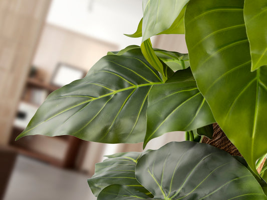 Planta Artificial Taro Colocasia 150 cm con Maceta Schuller en ambiente decorado | Schuller