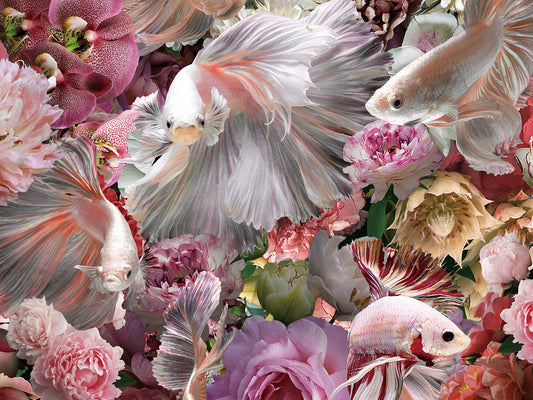 Fotografía en Cristal Templado Peces Luchador Siam 120x120 cm Schuller en ambiente decorado | Schuller