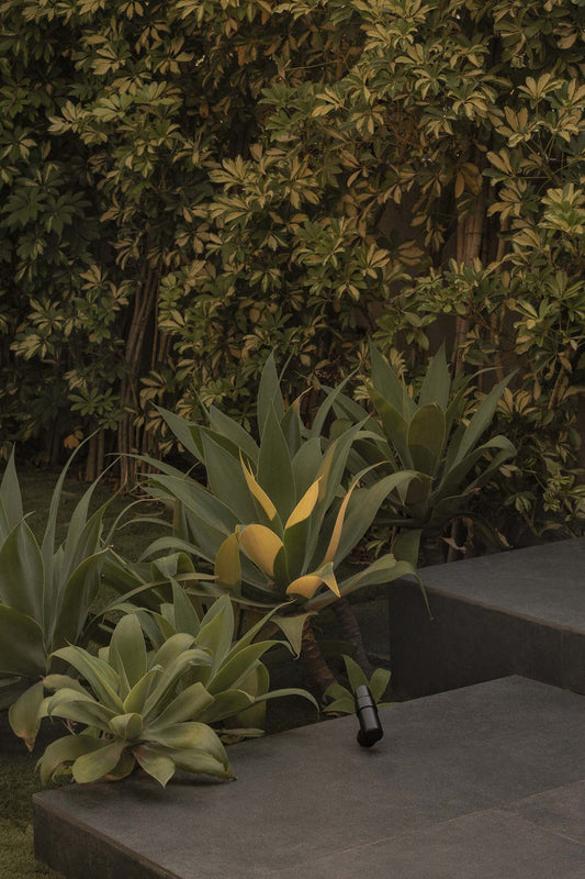 Proyector LED exterior PUK 36 negro 40° 2700K FARO 75300-223 en ambiente de jardín, luminaria IP65 para acento arquitectónico