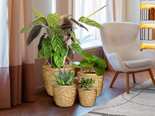 Maceteros Dorado Ilian - Schuller - Calidad Premium | luzguru.com