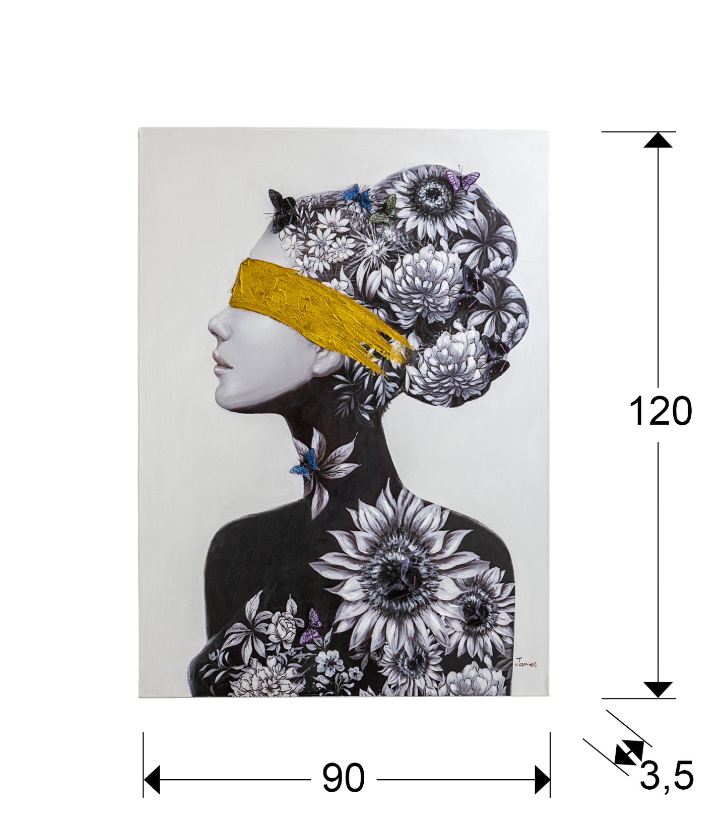 Medidas Cuadro Schuller Perfil II 498159: 90x120x3.5cm, 2.12kg.