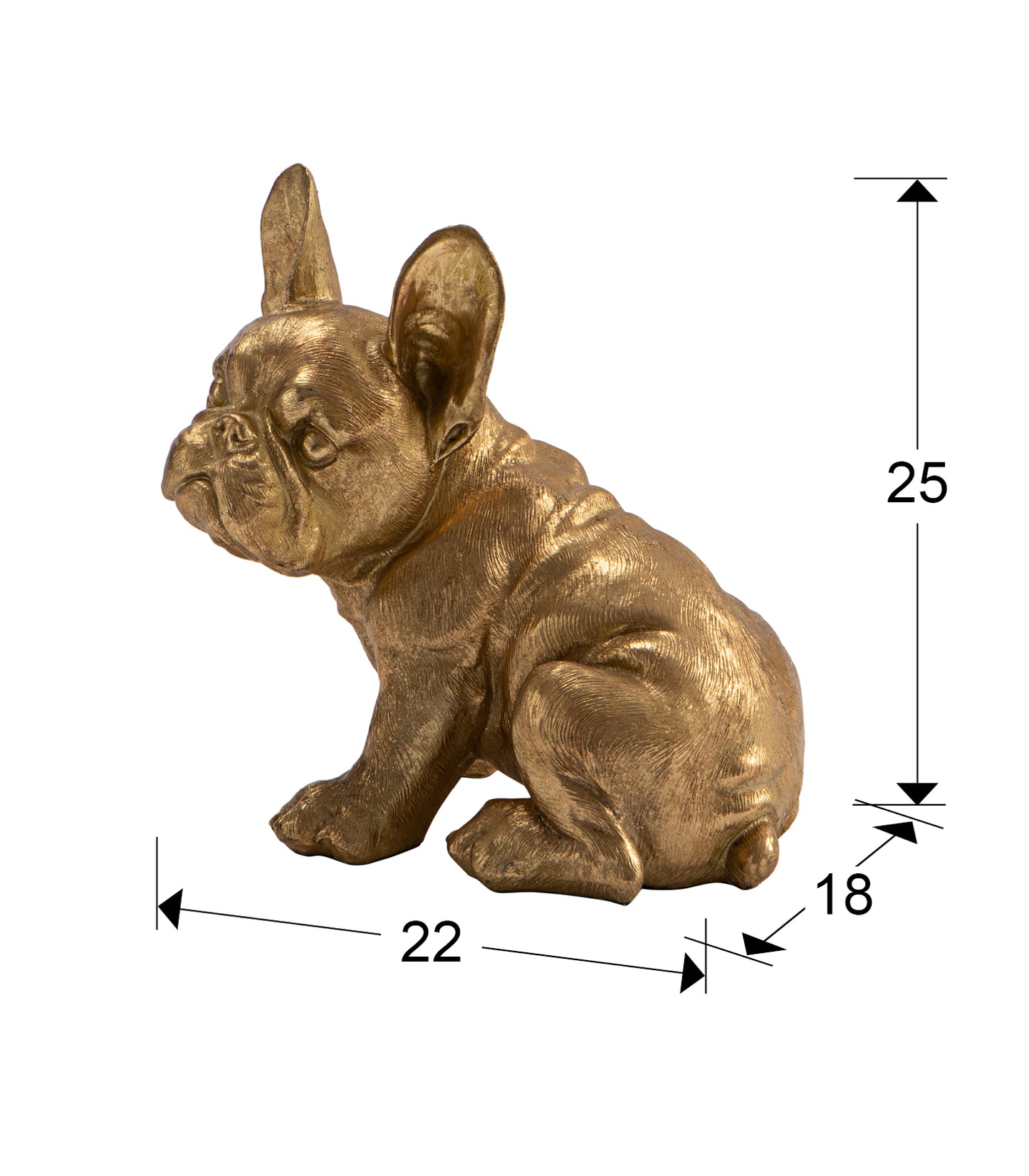 Medidas Figura Perro Bull Francés Oro Schuller 816601: 22x25x18 cm. Poliresina con acabado en pan de oro.