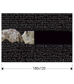 Medidas Fotografía Impresa Schuller Poesia (Ref. 562317): 180x120cm. Cristal templado, 21.6kg. luzguru.com