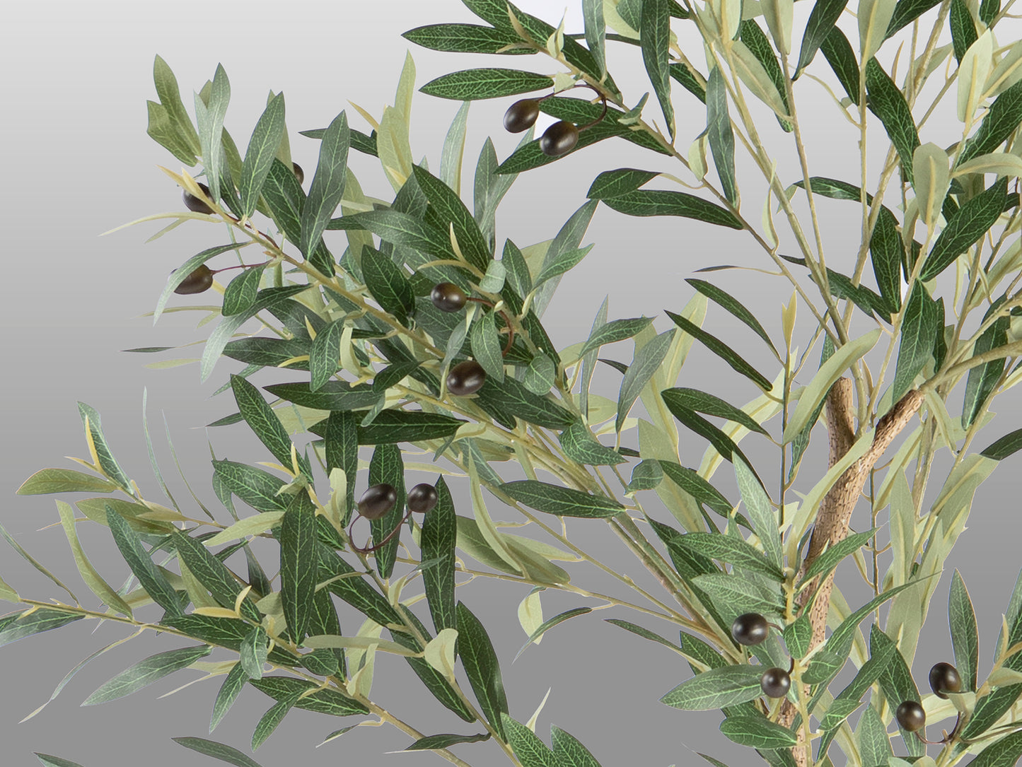 Planta Artificial Olivo H180 - Con Maceta y Base - Schuller - 281881 - Vista 4