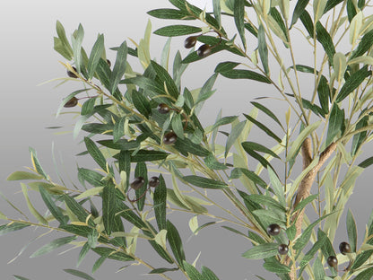 Planta Artificial Olivo H180 - Con Maceta y Base - Schuller - 281881 - Vista 4