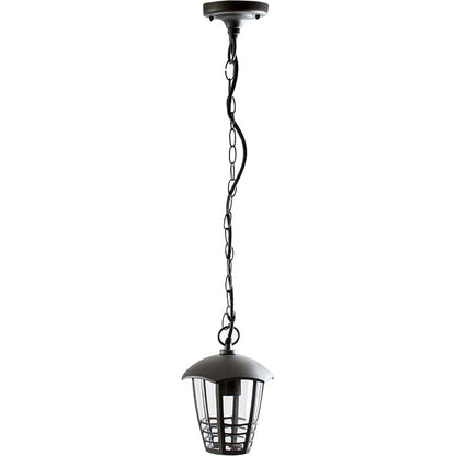 Colgante estanco TERVA LUMIT para exterior, referencia 110050155