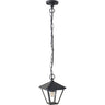 Colgante estanco DORNELA LUMIT, lámpara de exterior IP44, referencia 123450155