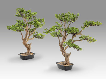 Bonsái / Sokan 81cm Set 2 - Doble Tronco, Plástico y Cerámica Natural Schuller encendida con proyección de luz y ambiente | LuzGurú