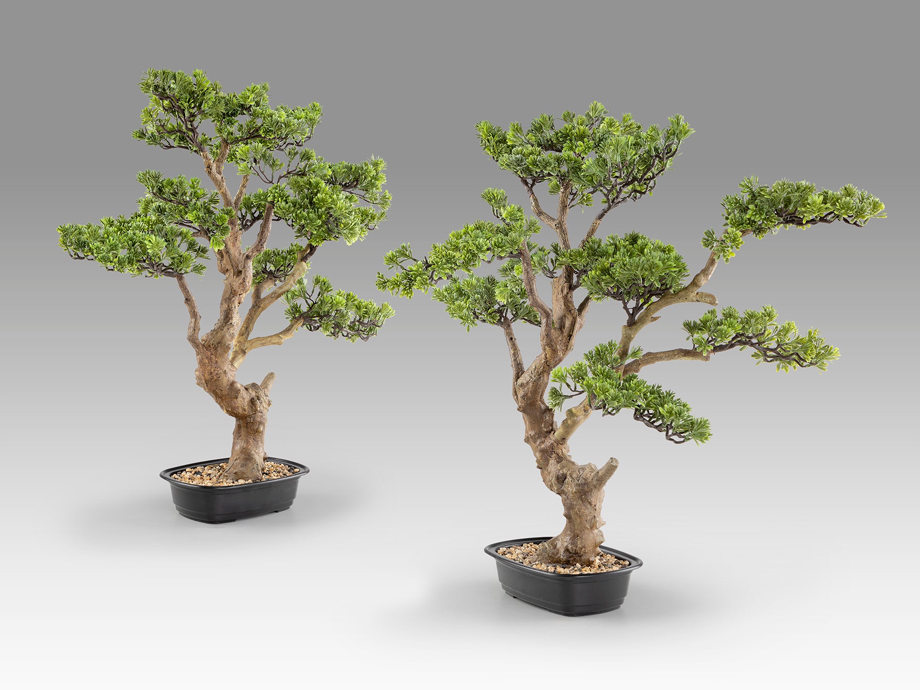 Bonsái SOKAN 81 cm Set 2 Schuller encendida con proyección de luz y ambiente | LuzGurú
