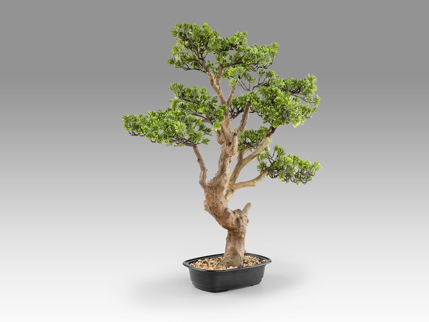 Bonsái Artificial SOKAN 81CM / Sokan / 81cm x 90cm x 42cm / Natural / Schuller encendida con proyección de luz y ambiente | LuzGurú