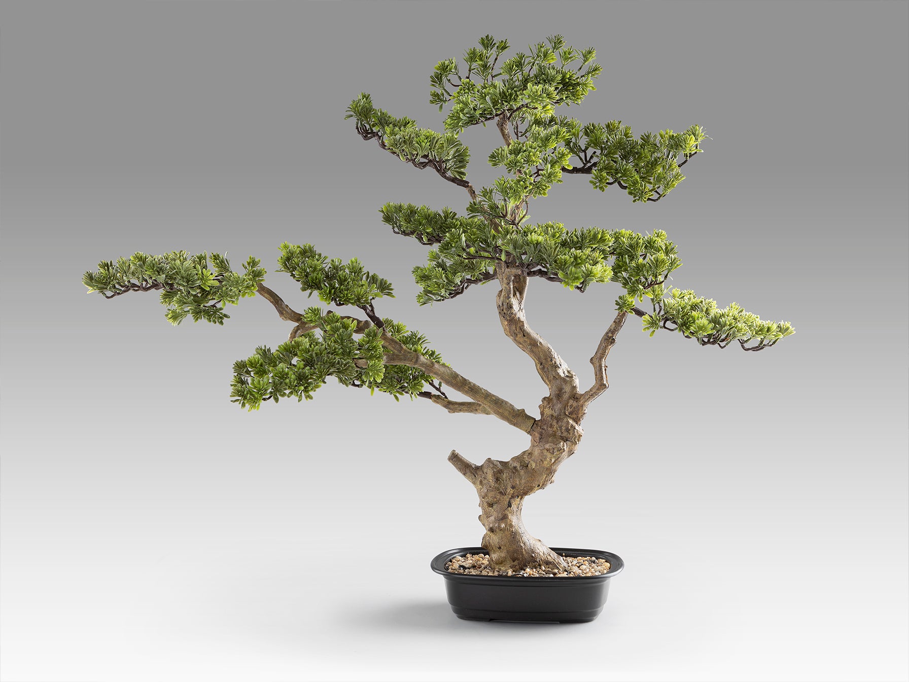 Bonsái Artificial SOKAN 81CM / Sokan / 81cm x 90cm x 42cm / Natural / Schuller encendida con proyección de luz y ambiente | LuzGurú