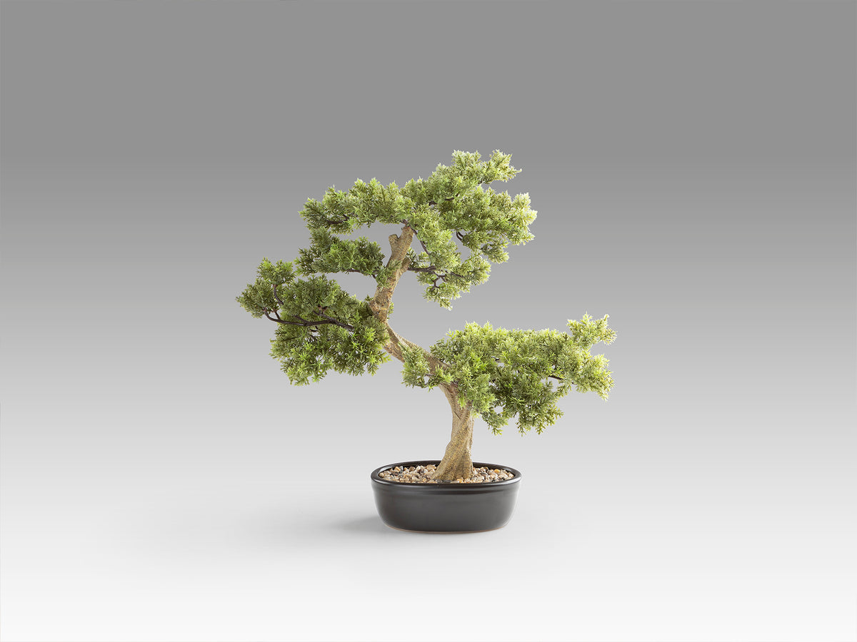 Bonsái Artificial Bankan 75 cm Tronco Envejecido Schuller en ambiente decorado | Schuller