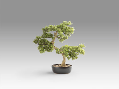 Bonsái Artificial Bankan 75 cm Tronco Envejecido Schuller en ambiente decorado | Schuller