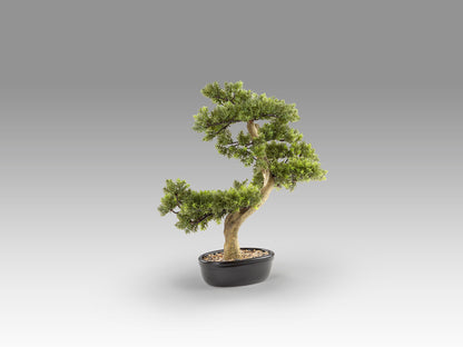 Bonsái Artificial Bankan 75 cm Tronco Envejecido Schuller en ambiente decorado | Schuller