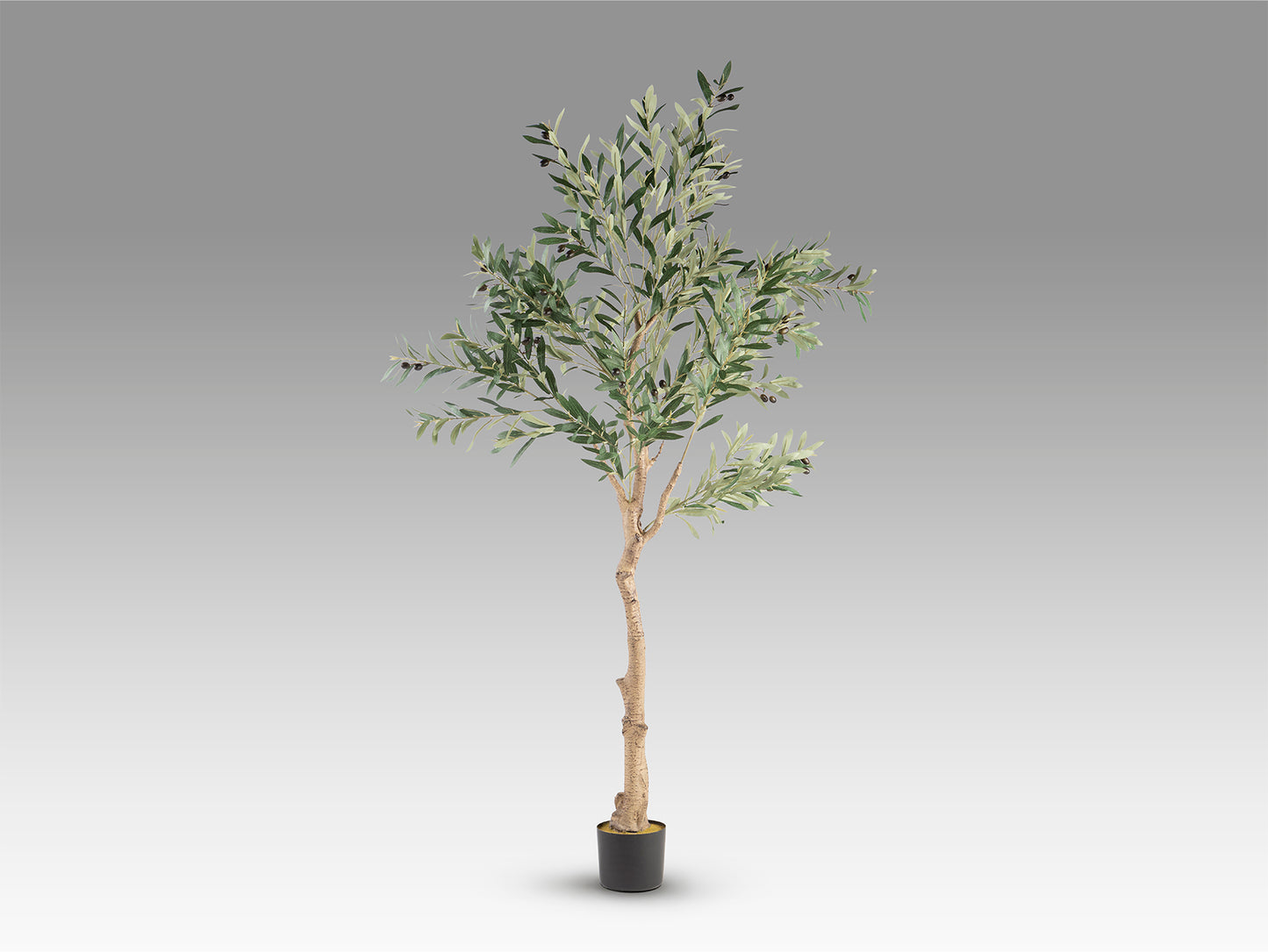 Planta Artificial Olivo H180 - Con Maceta y Base - Schuller - 281881 - Vista 5