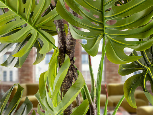 Planta Artificial Monstera 210 cm con Maceta Verde Schuller en ambiente decorado | Schuller