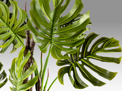 Planta Artificial Monstera 210 cm con Maceta Verde Schuller en ambiente decorado | Schuller
