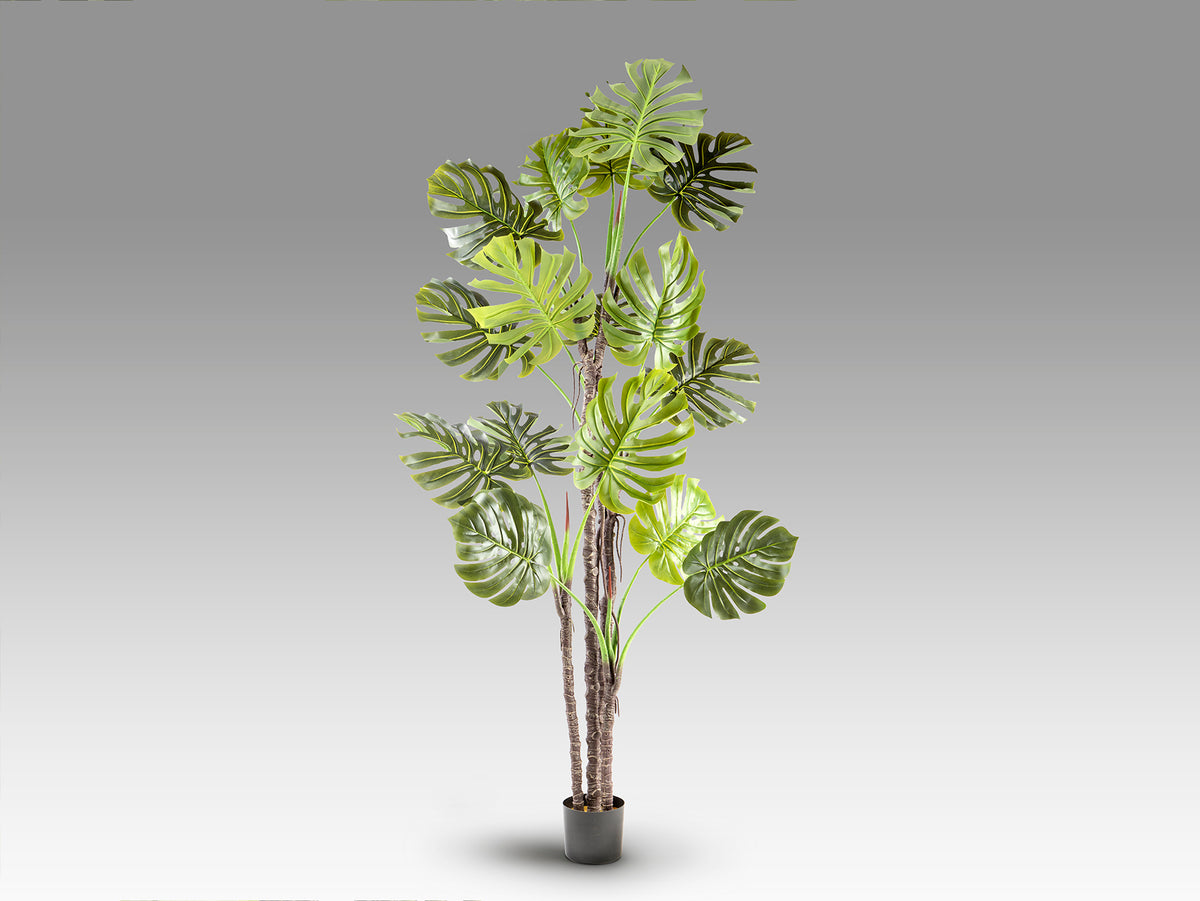 Planta Artificial Monstera 210 cm con Maceta Verde Schuller en ambiente decorado | Schuller