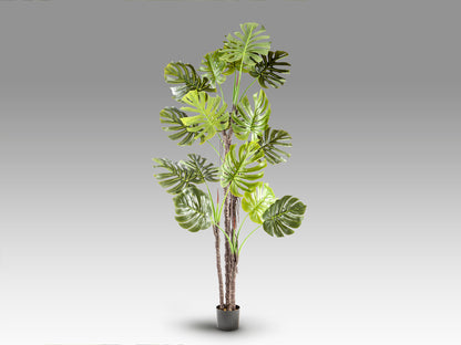 Planta Artificial Monstera 210 cm con Maceta Verde Schuller en ambiente decorado | Schuller