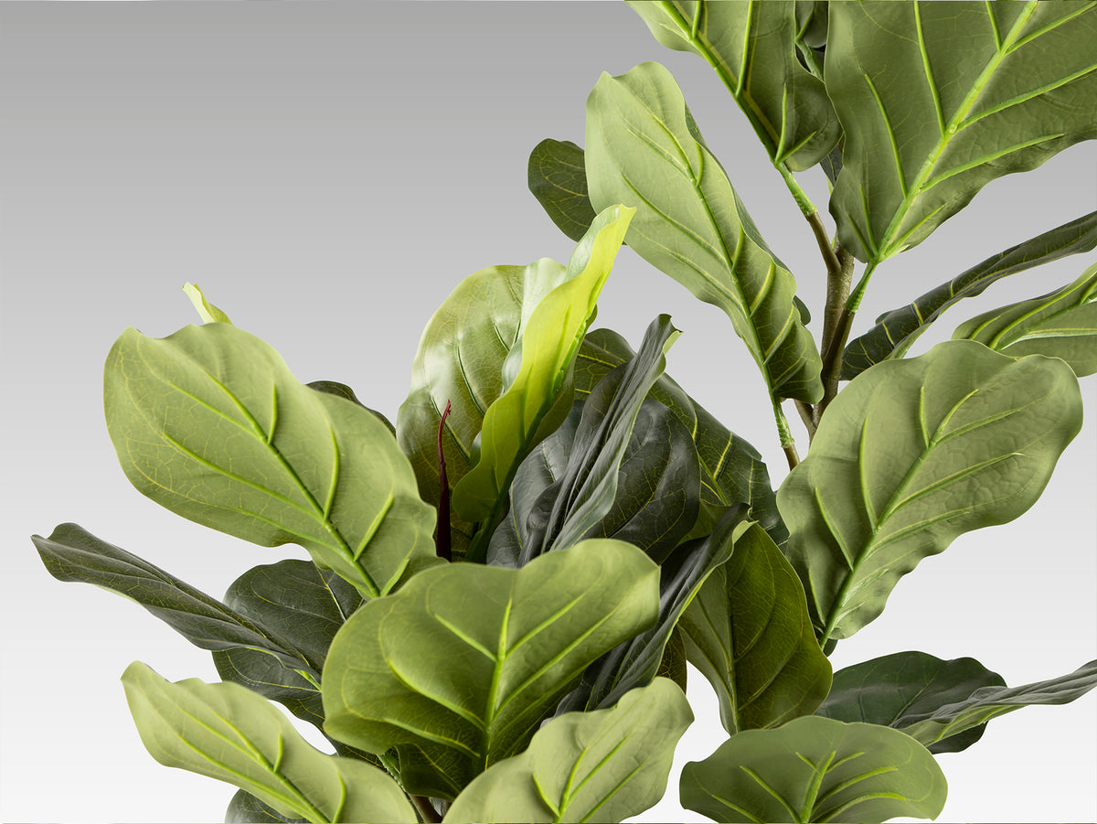 Planta Artificial Ficus Lyrata Higuera Violín 200 cm Verde Schuller en ambiente decorado | Schuller