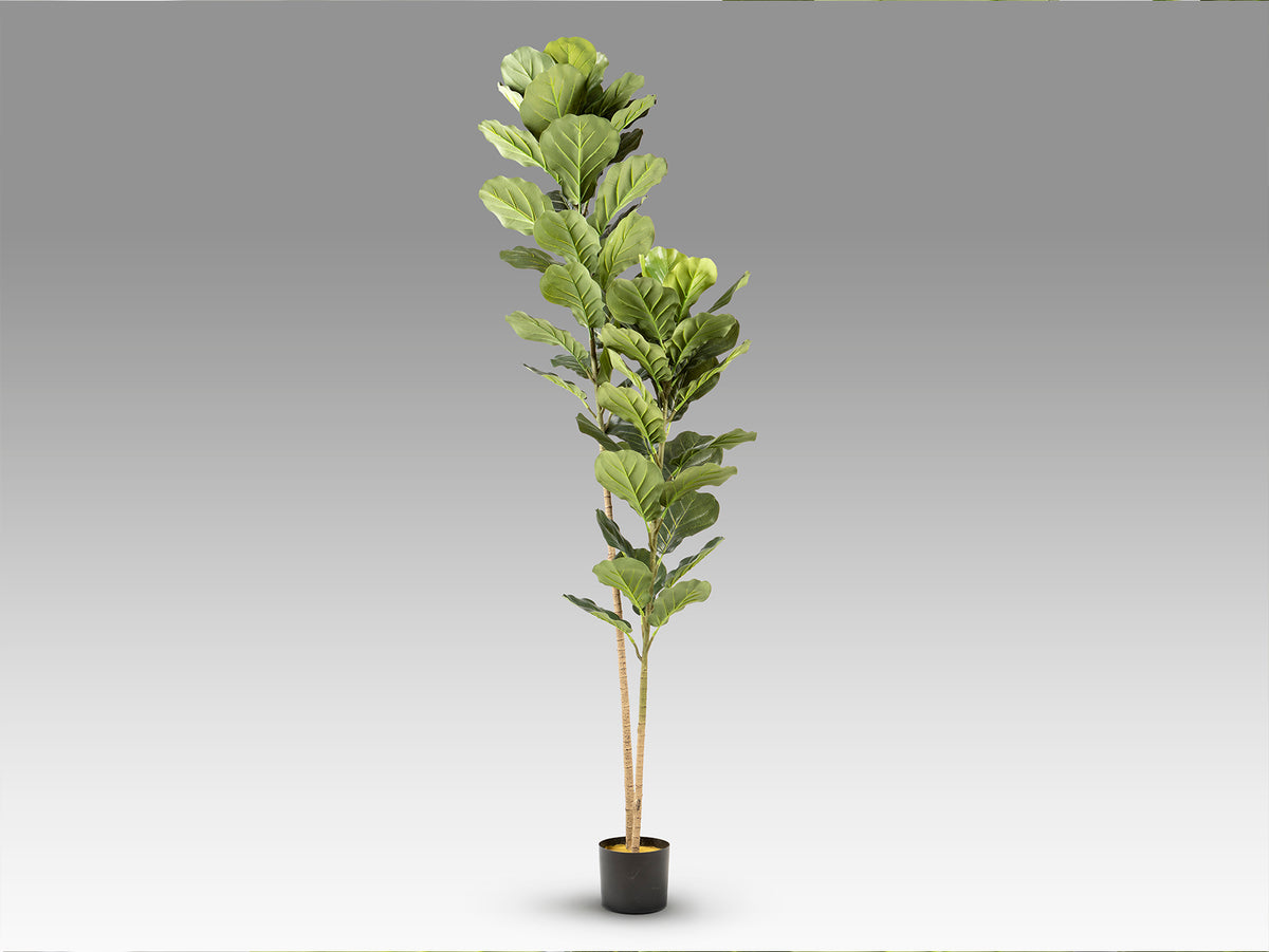 Planta Artificial Ficus Lyrata Higuera Violín 200 cm Verde Schuller en ambiente decorado | Schuller