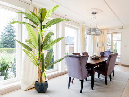Platanera Artificial Musa Paradisiaca 180 cm con Maceta Schuller en ambiente decorado | Schuller