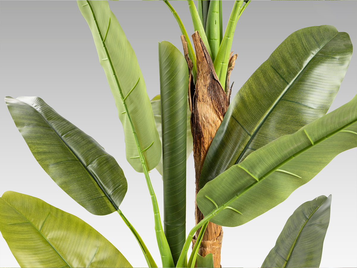 Platanera Artificial Musa Paradisiaca 180 cm con Maceta Schuller en ambiente decorado | Schuller