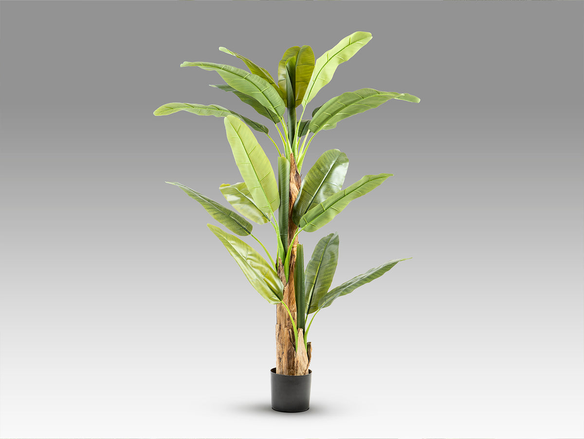 Platanera Artificial Musa Paradisiaca 180 cm con Maceta Schuller en ambiente decorado | Schuller