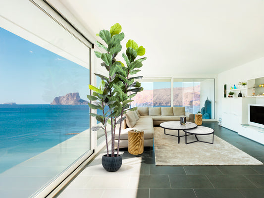 Ficus Lyrata Artificial Higuera Violín 250 cm Verde Schuller - vista principal | Schuller