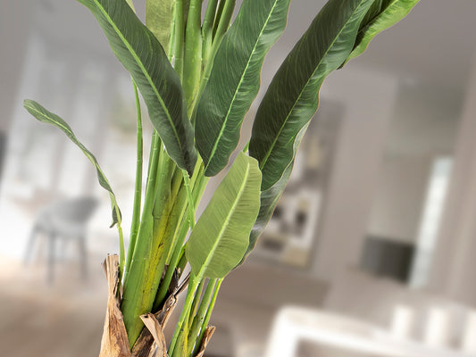 Palma del Viajero Artificial 240 cm con Maceta Schuller en ambiente decorado | Schuller