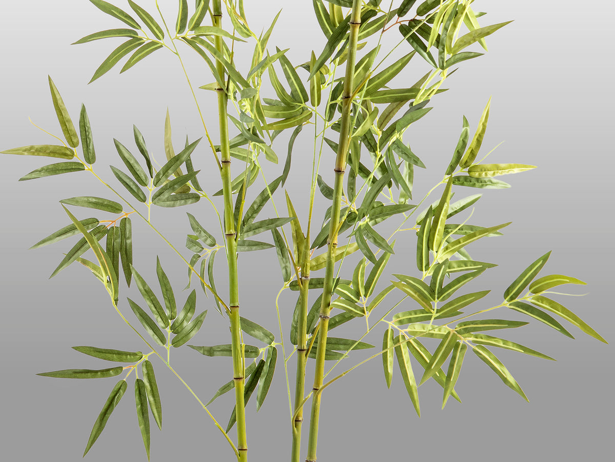 Planta Artificial Bambú Coreano 170 cm con Maceta Schuller en ambiente decorado | Schuller
