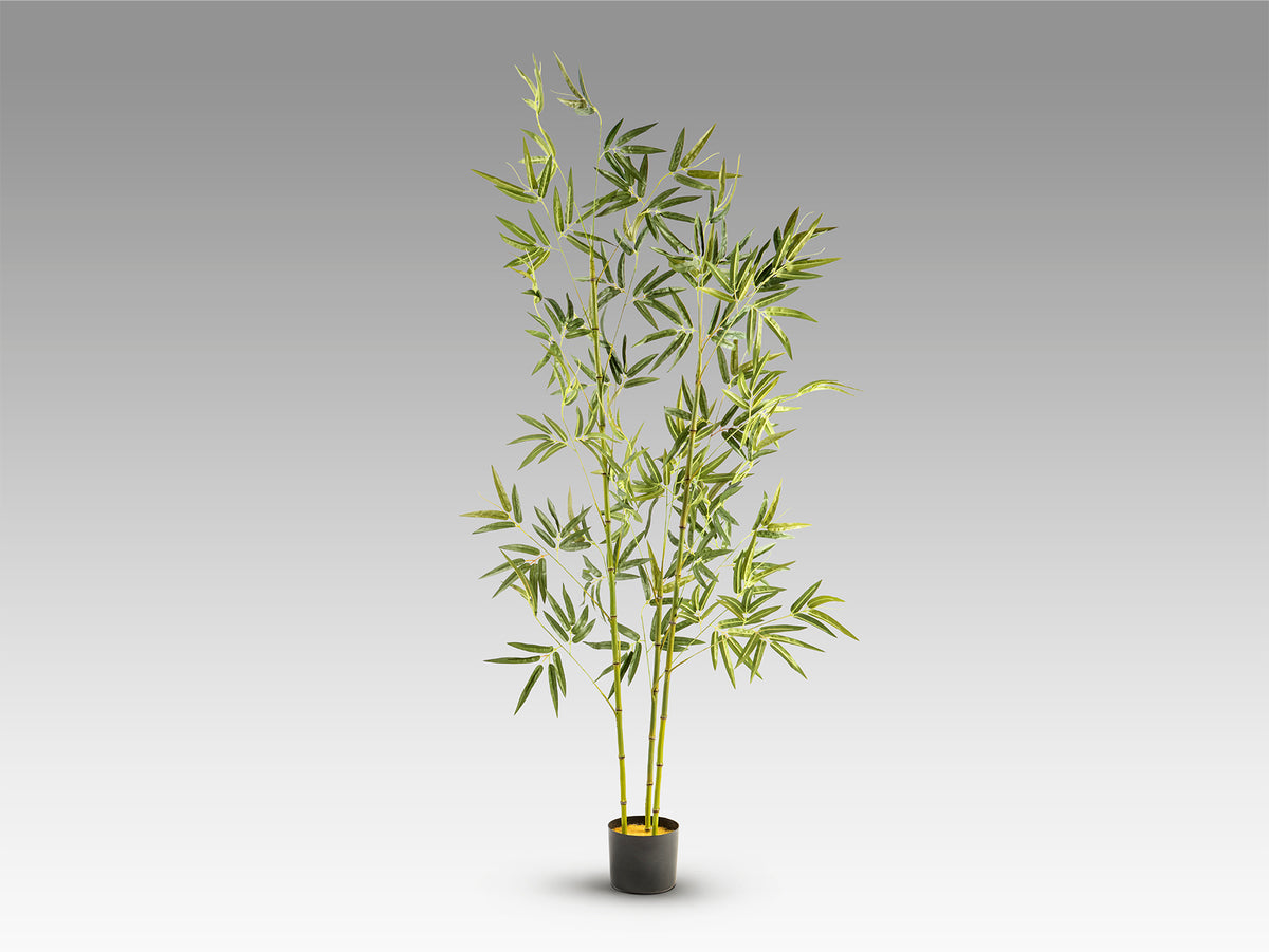 Planta Artificial Bambú Coreano 170 cm con Maceta Schuller en ambiente decorado | Schuller