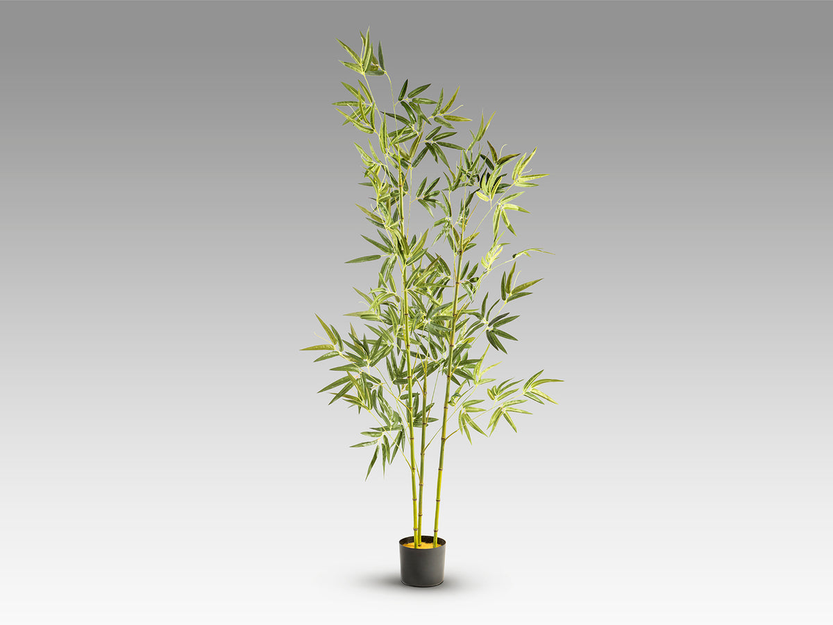 Planta Artificial Bambú Coreano 170 cm con Maceta Schuller en ambiente decorado | Schuller