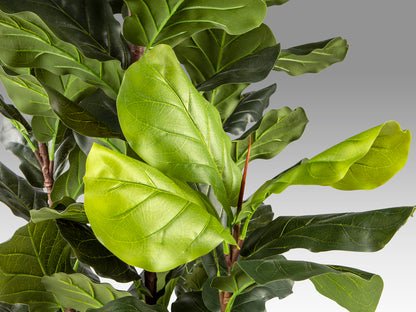 Higuera de Violín Artificial H250 - Realista con Base - Schuller - 281577 - Vista 4