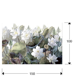 Plano con medidas de Fotografía Impresa en Cristal Templado Nenufares I 150x100 cm Schuller