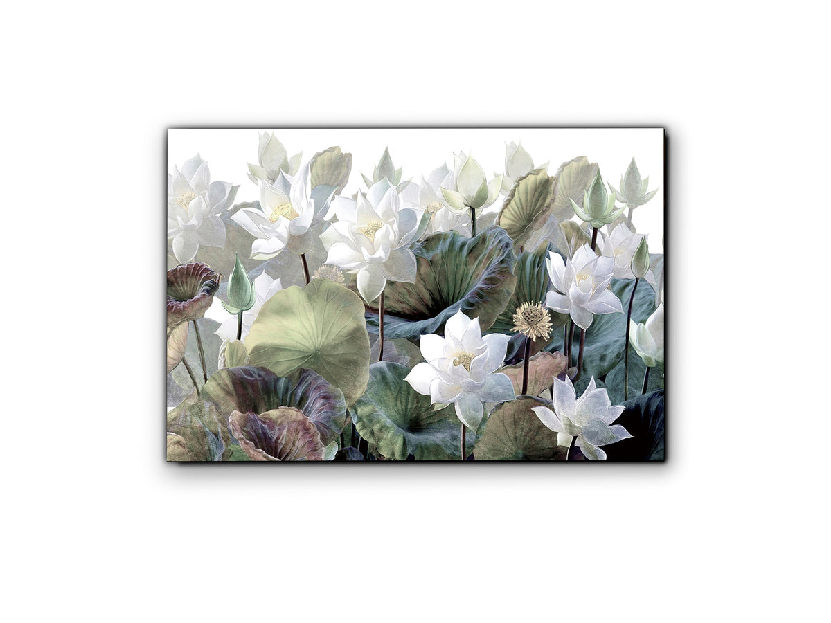 Fotografía Impresa en Cristal Templado Nenufares I 150x100 cm Schuller - vista principal | Schuller