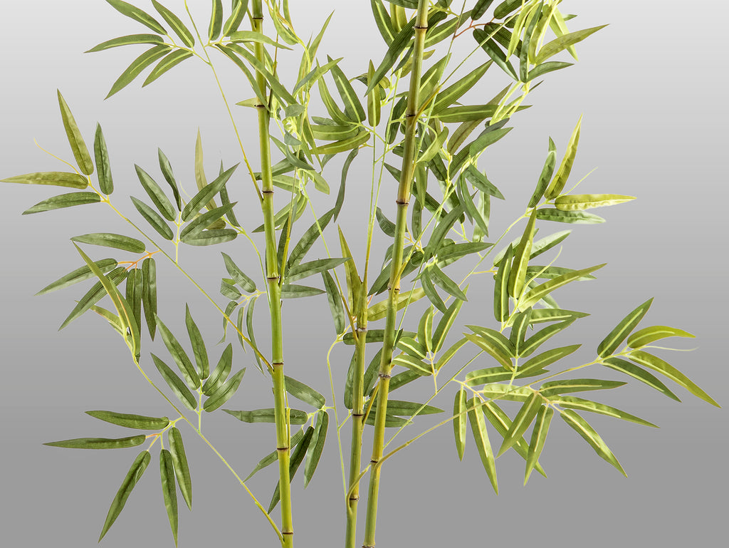 Planta Artificial Bambú H170 con Maceta - Schuller - 291910 - Vista 4