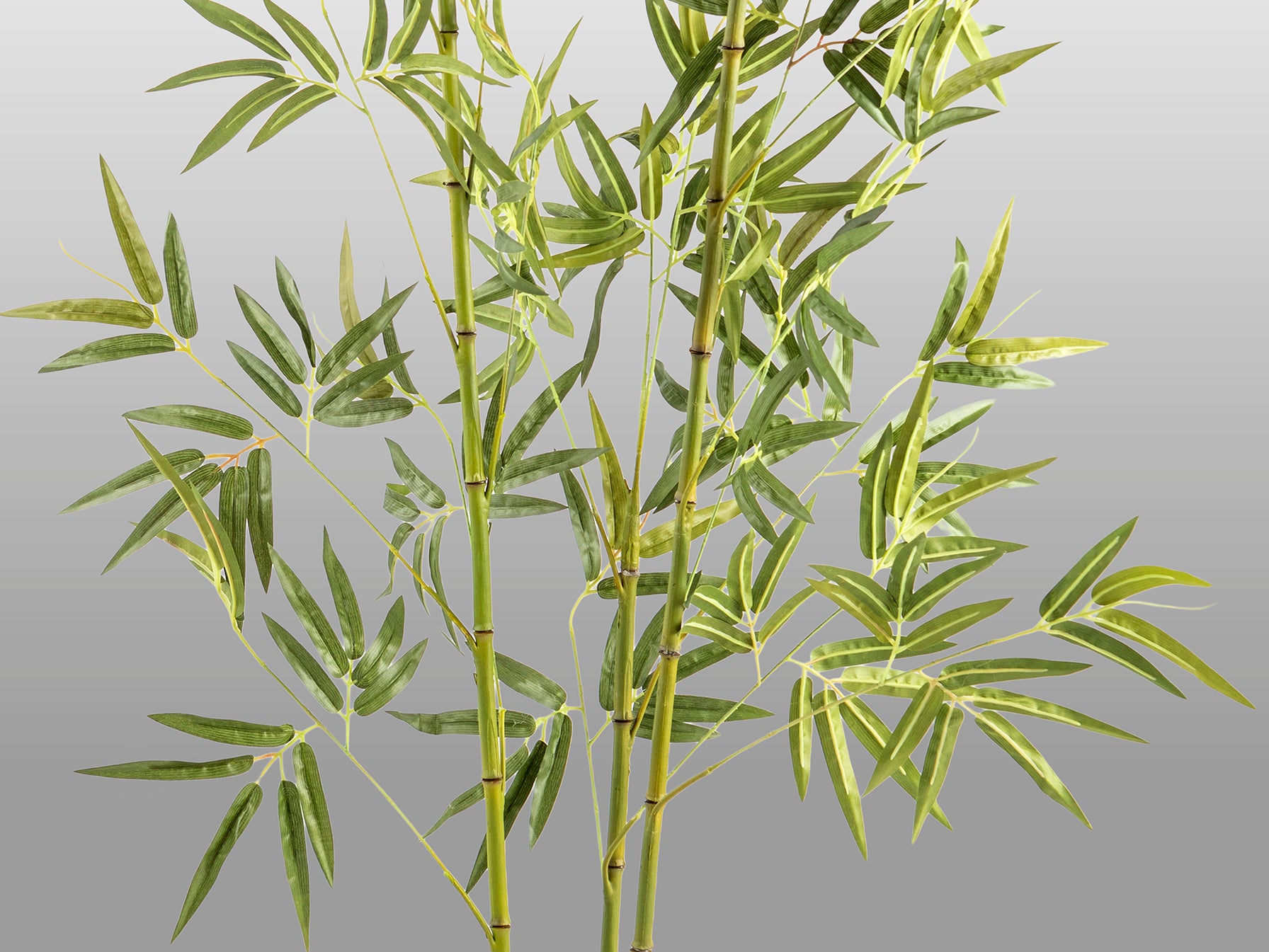 Planta Artificial Bambú H170 con Maceta - Schuller - 291910 - Vista 4