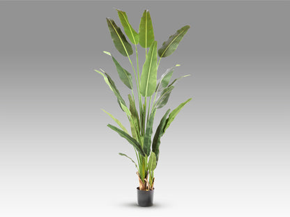 Palma del Viajero Artificial H240 - Schuller - 281751 - Vista 5