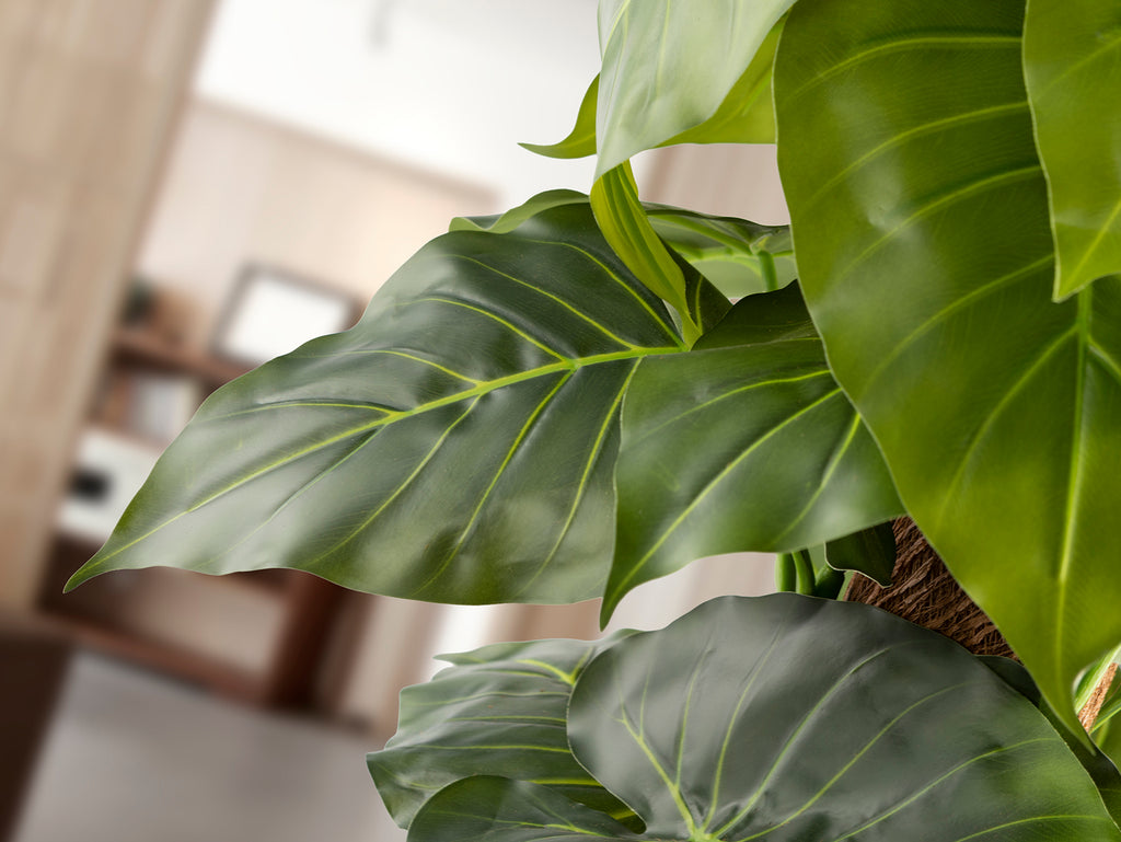 Planta Artificial Taro H150 - Realista con Maceta - Schuller - 281126 - Vista 3