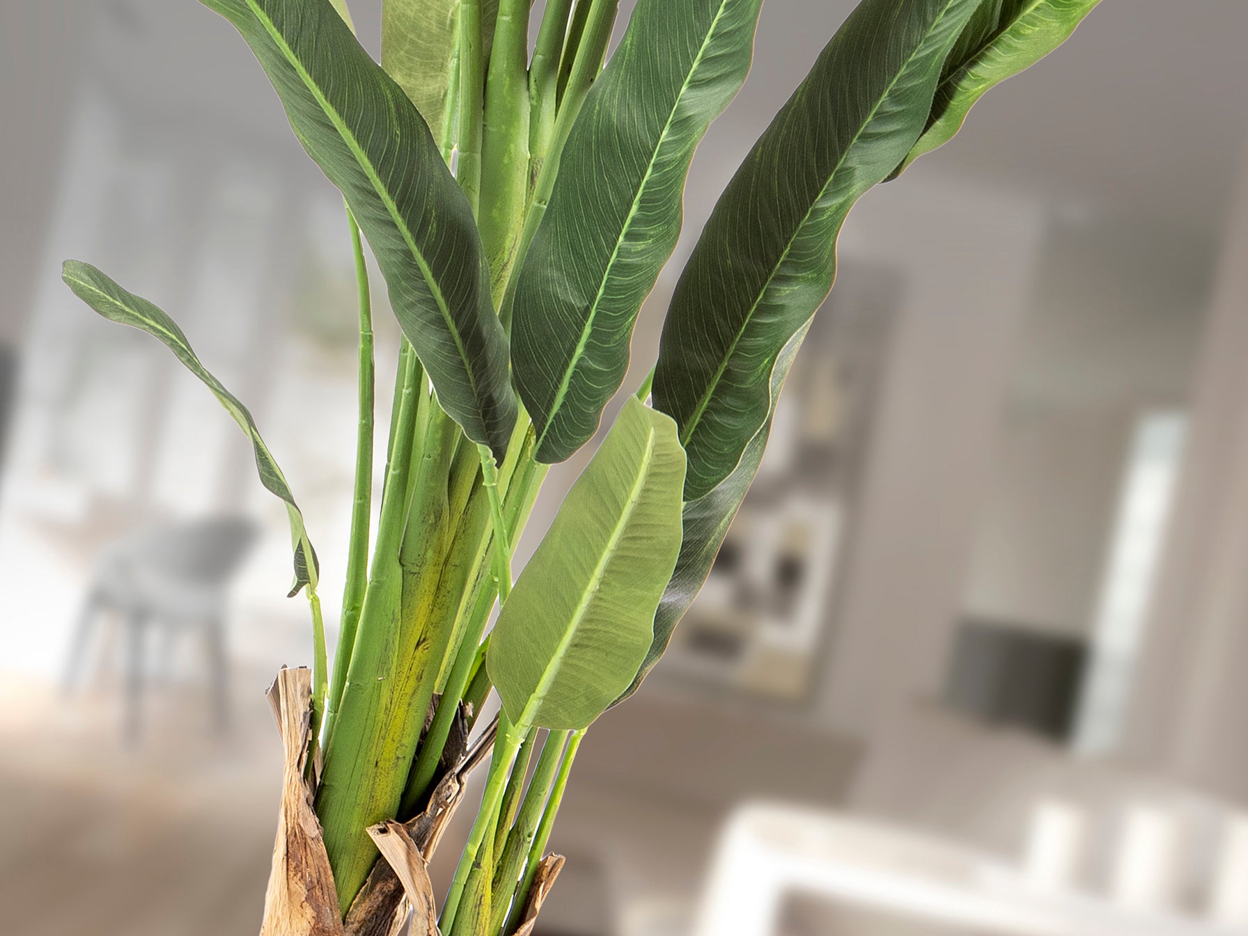 Palma del Viajero Artificial H240 - Schuller - 281751 - Vista 3