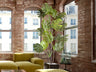 Planta Artificial Monstera H210 con Maceta - Schuller - 281003 - Vista 1