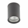 TASA Plafón Exterior Gris Oscuro Faro IP44 70806