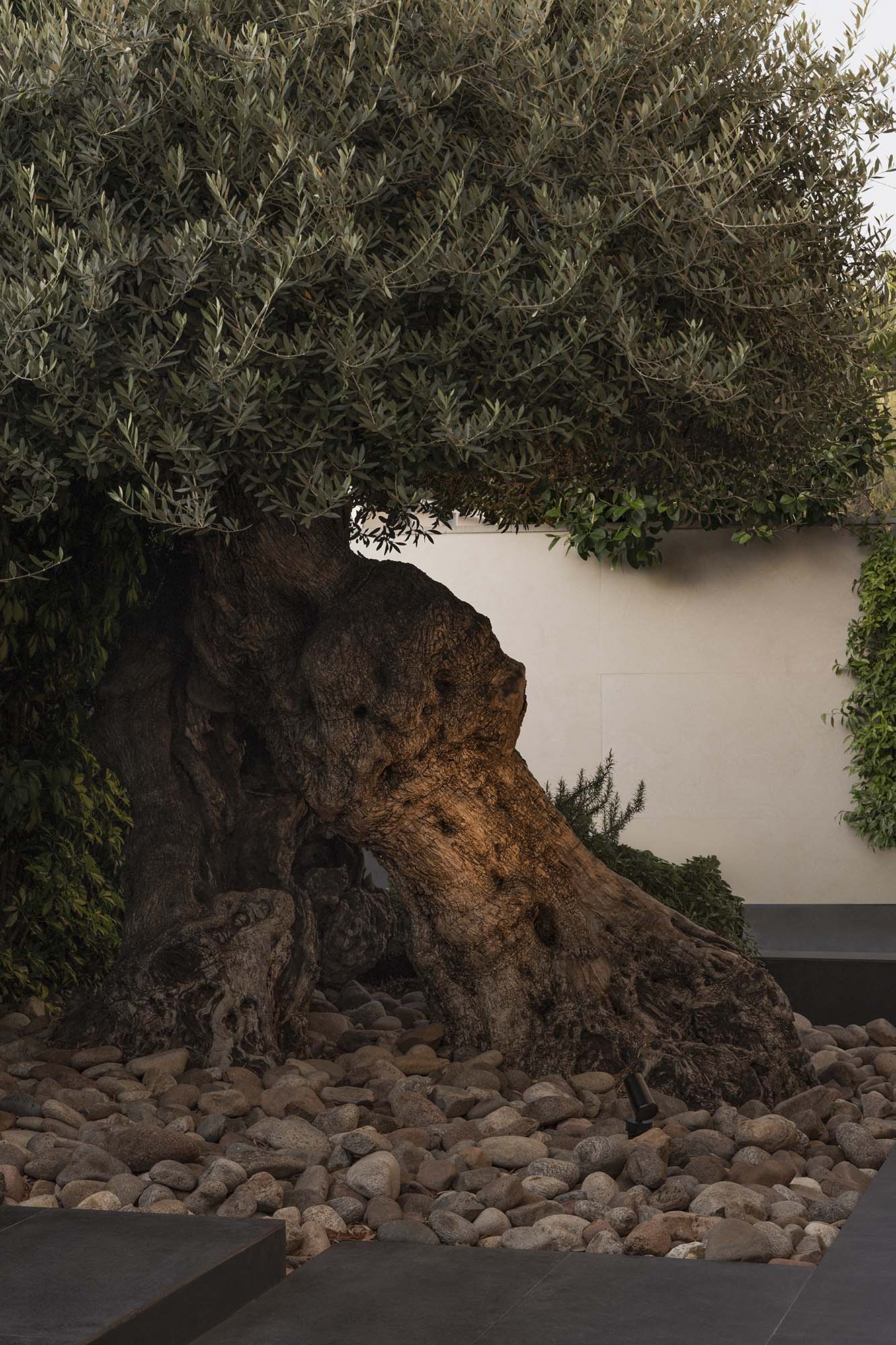 Proyector PUK 59 fabricado en aluminio color negro, ideal para exteriores.