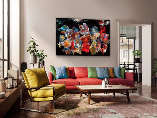 Fotografía Impresa en Cristal Templado Peces Siam 150x100 cm Schuller - vista principal | Schuller