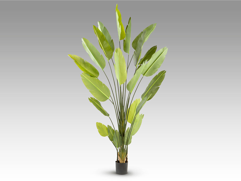 Planta Artificial Ave Paraíso H250 - Schuller - 281690 - Vista 5