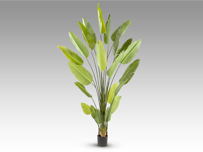 Planta Artificial Ave Paraíso H250 - Schuller - 281690 - Vista 5