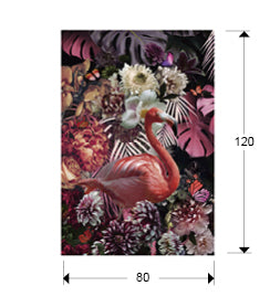 Plano con medidas de Fotografía Impresa en Cristal Templado Flamenco 80x120 cm Schuller