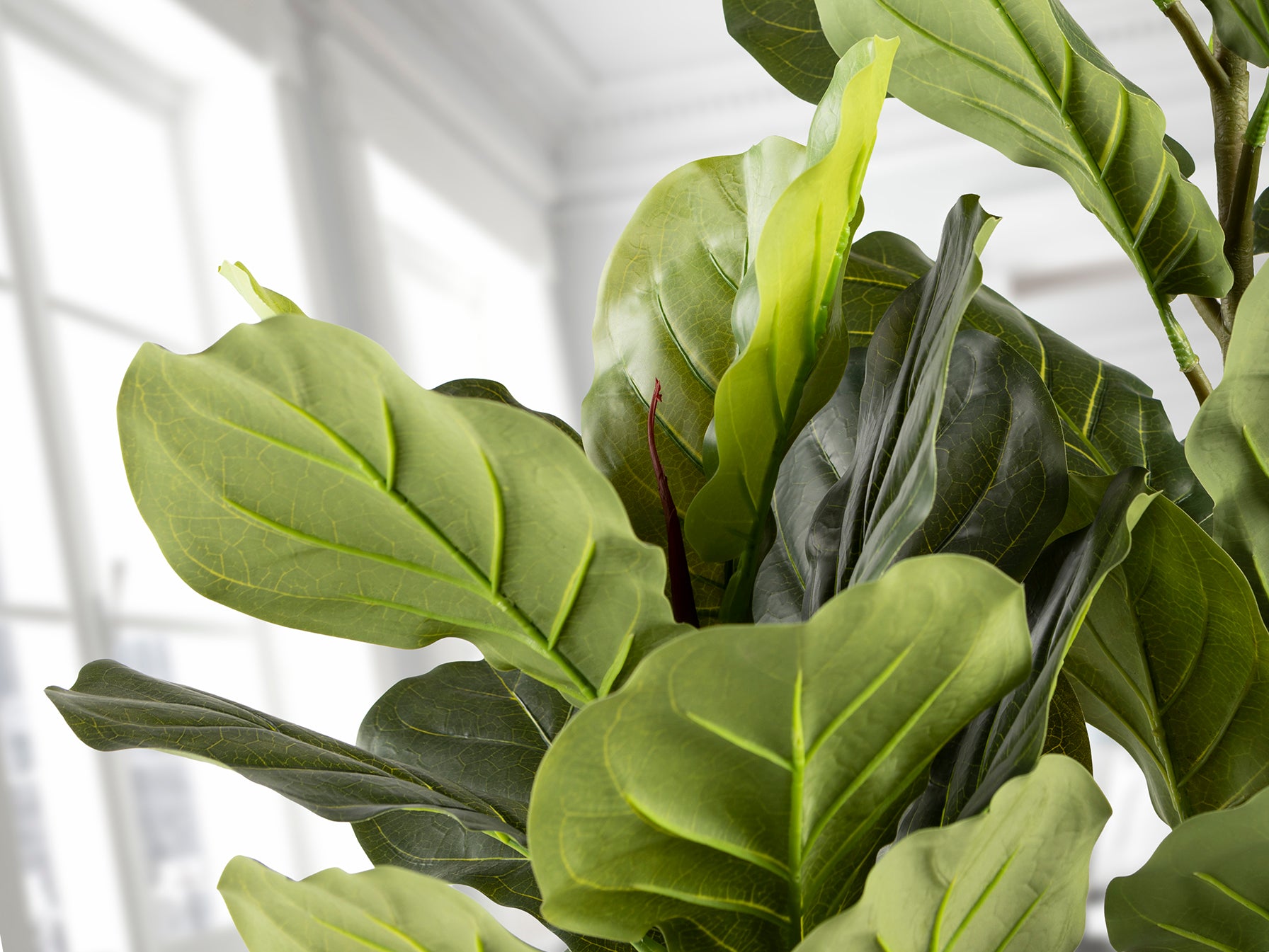 Higuera Violín Artificial H200 - Schuller - 281232 - Vista 3