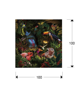 Plano con medidas de Fotografía Impresa en Cristal Templado Selvática 100x100 cm Schuller
